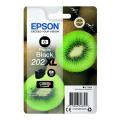 Epson Wkład atramentowy czarne zdjęcie (C13T02H14010 / 202XL) (high capacity)