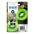 Epson Wkład atramentowy czarne zdjęcie (C13T02F14010 / 202)
