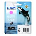 Epson Wkład atramentowy magenta zdjęcia (C13T76064N10 / T7606)