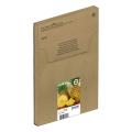 Epson Wkład atramentowy czarny / cyjan / magenta / żółty (C13T10H64510 / 604XL) (multipack, high capacity)